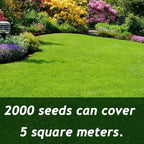 🌱 2026 Four Seasons Evergreen Grass Seed | Durable, Vibrant Green All Year